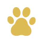 paw4